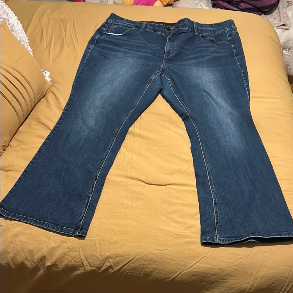 Lane Bryant Blue Boot Cut Jeans Classic Style